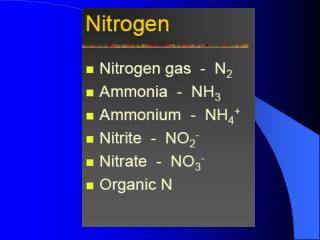 Nitrogen fixation