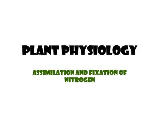 Plant Physiology