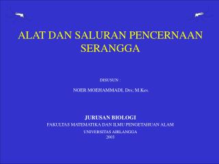 ALAT DAN SALURAN PENCERNAAN SERANGGA