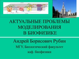 АКТУАЛЬНЫЕ ПРОБЛЕМЫ МОДЕЛИРОВАНИЯ В БИОФИЗИКЕ