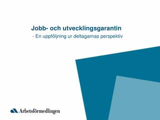 Jobb- och utvecklingsgarantin