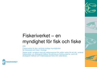 Fiskeriverket – en myndighet för fisk och fiske