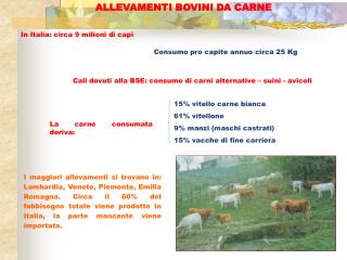 ALLEVAMENTI BOVINI DA CARNE