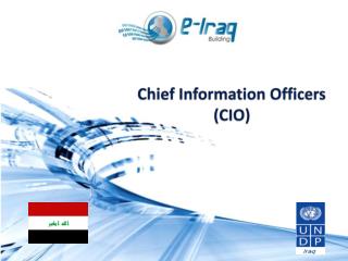 Chief Information Officers (CIO)