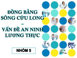 ĐỒNG BẰNG SÔNG CỬU LONG – VẤN ĐỀ AN NINH LƯƠNG THỰC