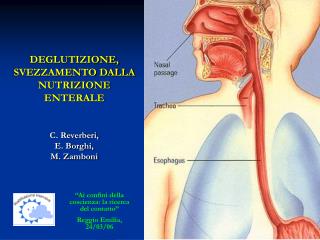 DEGLUTIZIONE, SVEZZAMENTO DALLA NUTRIZIONE ENTERALE C. Reverberi, E. Borghi, M. Zamboni