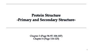 Protein Structure -Primary and Secondary Structure-