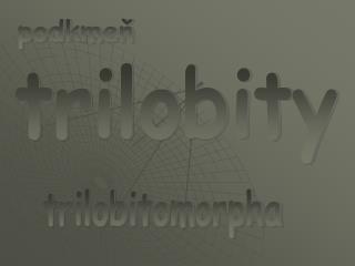 trilobity