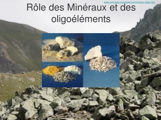 Rôle des Minéraux et des oligoéléments