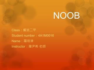 NOOB