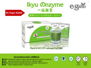 No Sugar Added