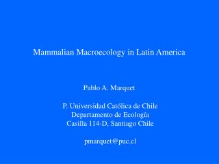 Mammalian Macroecology in Latin America