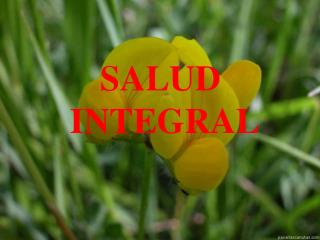 SALUD INTEGRAL