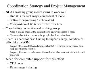 Coordination Strategy and Project Management