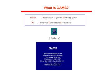 What is GAMS?