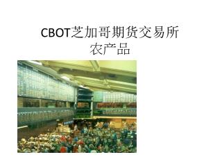 CBOT 芝加哥期货交易所 农产品