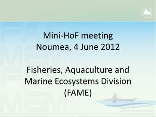 Mini-HoF meeting Noumea, 4 June 2012 Fisheries, Aquaculture and Marine Ecosystems Division (FAME)