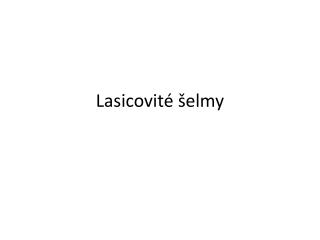 Lasicovité šelmy