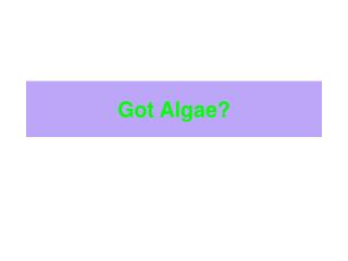 Got Algae?