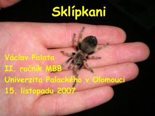 Sklípkani