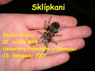 Sklípkani