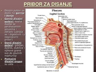 PRIBOR ZA DISANJE