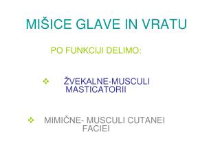 MIŠICE GLAVE IN VRATU