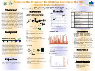 Assessing the Dominant Denitrifying Bacteria in the Mid-Atlantic Bight Sediments