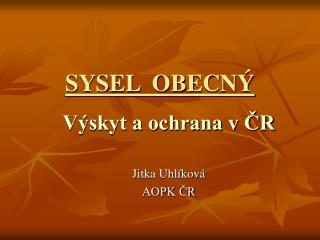 SYSEL OBECNÝ