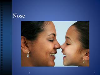 Nose