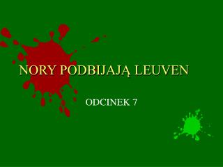 NORY PODBIJAJĄ LEUVEN