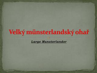 Velký münsterlandský ohař