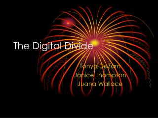 The Digital Divide