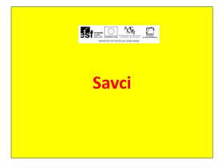 Savci