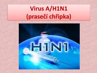 Virus A/H1N1 (prasečí chřipka)