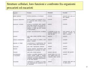 Colture di cellule e di tessuti animali