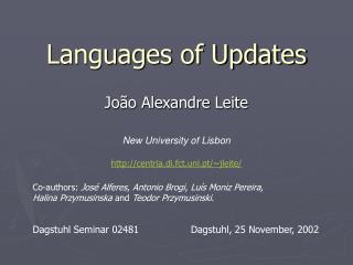 Languages of Updates