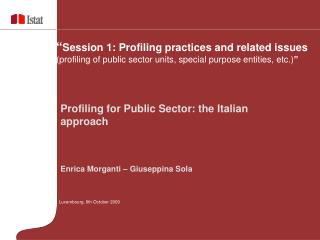 Profiling for Public Sector: the Italian approach Enrica Morganti – Giuseppina Sola