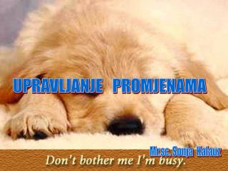 UPRAVLJANJE PROMJENAMA