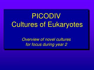 PICODIV Cultures of Eukaryotes Overview of novel cultures for focus during year 2