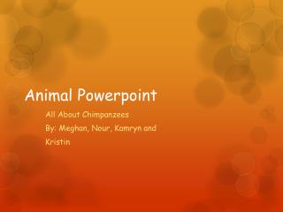 Animal Powerpoint