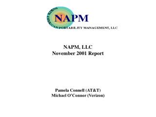 NAPM, LLC November 2001 Report Pamela Connell (AT&amp;T) Michael O’Connor (Verizon)