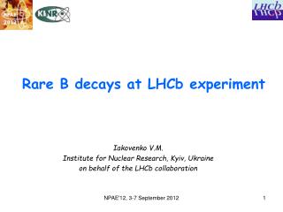 Rare B decays at LHCb experiment