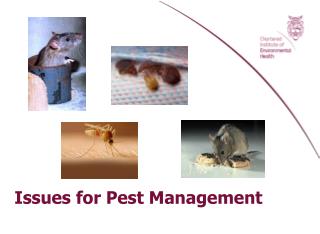 Issues for Pest Management