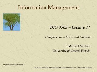 Information Management