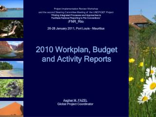 2010 Workplan, Budget and Activity Reports