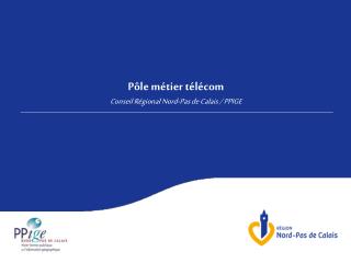 Pôle métier télécom Conseil Régional Nord-Pas de Calais / PPIGE