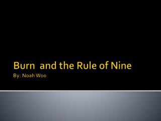 Burn and the Rule of Nine By: Noah Woo