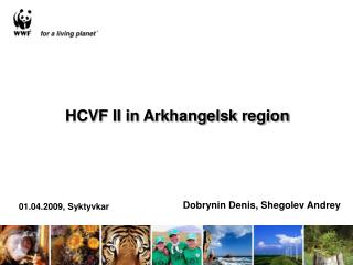 HCVF II in Arkhangelsk region
