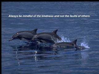 Always be mindful of the kindness and not the faults of others.